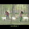 民间小调《憨子娶媳妇》上集