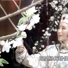 叶青歌仔戏《春江花月夜》第13集