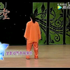 四十八式杨氏太极拳背向演练邱慧芳下载