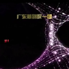 潮剧《罗衫奇案》全剧