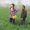 民间小调《对换小姨子》下集