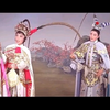 越剧电影《烽火姻缘》全集下载
