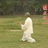 扎西大师演练传统杨氏85式太极拳下载