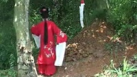 皖南花鼓戏《晒罗裙》中集下载