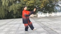 传统杨氏太极拳85式完整演练下载