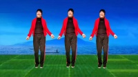 富平百合广场舞《我真怕自己哪天倒下》完整
