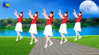 广场舞《画月亮》附教学口令 好看好学又健