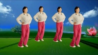 阿真广场舞《秋风吹起》正背演示 好看好学