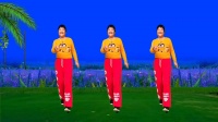 富平百合广场舞《我是不是你最疼爱的人》完