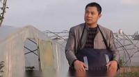 小淮剧《打工归来》