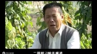 民间小调《恋上亲家母》02集下载
