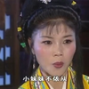庐剧《隋杨广》全集