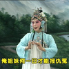 河南曲剧《刘墉下南京 刘统勋私访 铡太师》01集下载