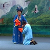 包公断后下载
