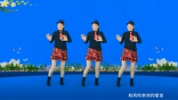 健康一生广场舞《一曲相送》简单易学水兵舞
