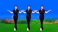 广场舞《把我丢下去爱她》伤感DJ十分好听