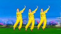 玫香广场舞《零度桑巴》正背面附教学