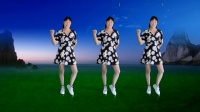 广场舞《无心的相遇》简单好看附教学