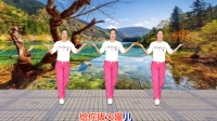 动感DJ广场舞《喜庆的迎亲队》《你是姐的宝