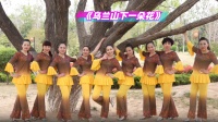 美久广场舞《乌兰山下一朵花》附背面演示 欢快好看下载