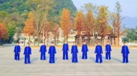 传统杨氏八十五式太极拳完整版下载