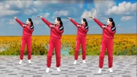 代玉广场舞《落单的鸳鸯》简单易学64步 好