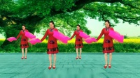 广场舞《中国美》《护花使者》动感活力 好