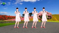 广场舞《男人的苦女人不清楚》精选32步健身