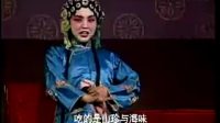 大型淮剧《慈母》全剧下载