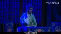 大型淮剧《李艳菊》全剧下载