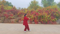 85式传统杨氏太极拳下载