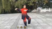 传统杨氏太极拳85式口令字幕完整版楠楠下载