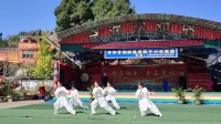 武当十三式太极拳 青松太极队演练下载
