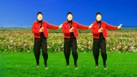 富平百合广场舞《忙碌是生活的最好良药》完