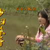 云南山歌剧《少妇杀手》