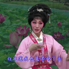 豫剧《白莲花》全场戏 漯河市豫剧团下载