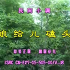 地方民间小调《娘给儿磕头》下载
