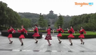 糖豆广场舞 借点情借点爱DJ下载