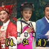黄梅戏《春江月》全集厅堂版下载