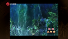 姚剧《王阳明》完整版