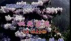 湖南花鼓戏合集020 桃花装疯2下载