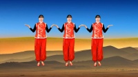 阳光香果广场舞《新年大吉》正背面演示好看