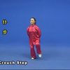 陈式太极拳36式套路分解教学下载