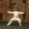 陈氏太极拳老架一路74式 (陳正雷)下载