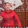 河南坠子《王莽赶刘秀》第二部1-7集