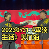 平淡生活下载