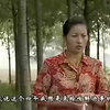 民间小调《男女寡妇争坟》全集下载