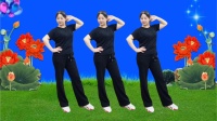 广场舞《我的爱要你知道》动感弹跳附分解