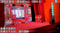 邵阳花鼓戏《黄金塔》上集下载