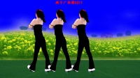 广场舞《格桑花》背面带跳 歌声优美动听